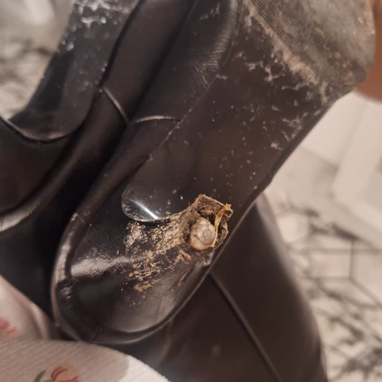 İlk Kullanımda Topukları Sökülen Çizme İçin İade Ve Değişim Talebi