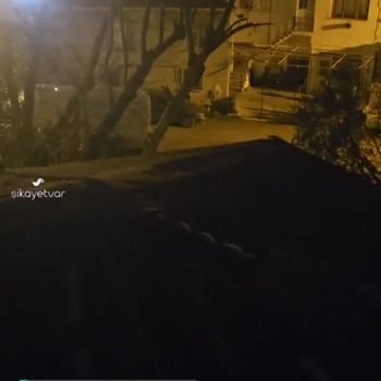 Esenler Belediyesi Köpek Tehdidi