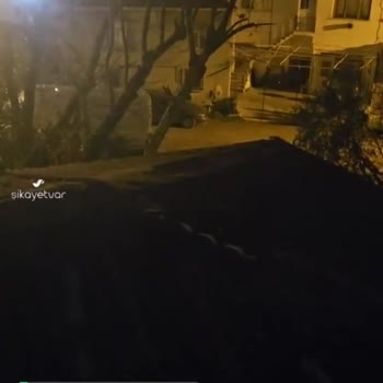 İstanbul Büyükşehir Belediyesi Esenler'de Köpek Tehdidi