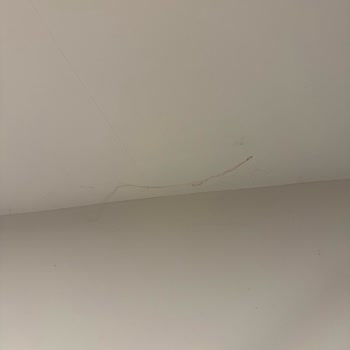 Vaat Edilen Profesyonel Temizlik İçin 6 Bin Lira Ek Ücret Alındı, İş Tamamlanmadı