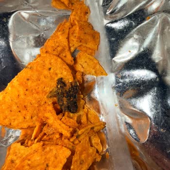 Patos Acı Baharatlı Cipste Yabancı Madde Keşfi Ve Şirkete Cevap Bekleme