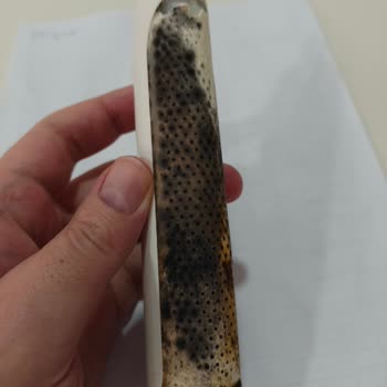 Küflü Ve Kötü Kokulu Diş Fırçası Çalışmaz Hale Geldi, Değişim Talebi