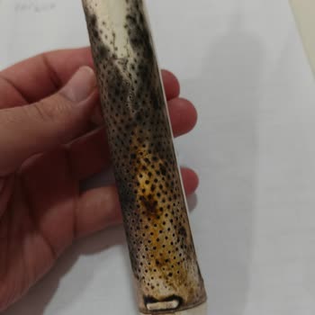 Küflü Ve Kötü Kokulu Diş Fırçası Çalışmaz Hale Geldi, Değişim Talebi