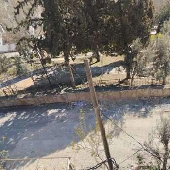 Belediye Yol Asfaltı Gecikmesi Ve Çocuk Güvenliği