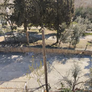 Belediye Yol Asfaltı Gecikmesi Ve Çocuk Güvenliği