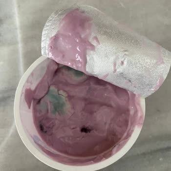 Sek Quark Ürünü Küflenmiş Çıktı: Sağlık Riski Ve Üretim Sürecinin İncelenmesi