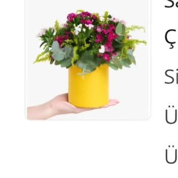 Sipariş Edilen Çiçeğin Yerine Solmuş Ve Görsele Uymayan Ürün Gönderildi