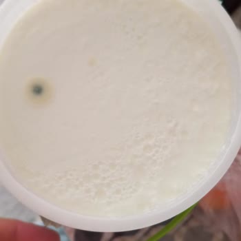 Küflü Yoğurt Sağlık Riski Ve Fişsiz Değişim Reddi