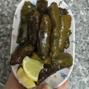 Instagram'dan Çöp Yaprak Siparişi, Satıcının Engellemesi Ve İade Talebi