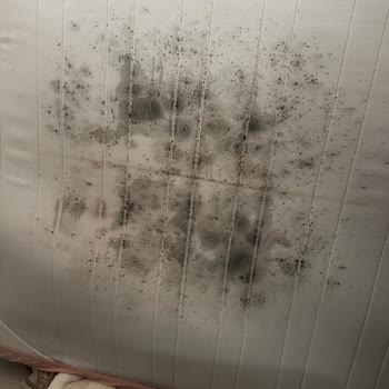 Ergo Yatakta Alt Kısım Siyahlaştı, Servis Kaba Davranışıyla Sorunu Çözmedi