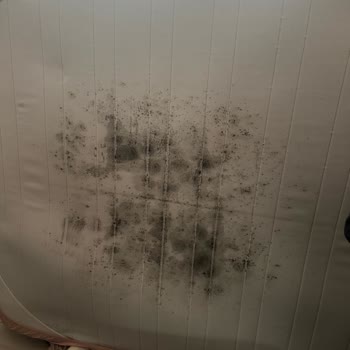 Ergo Yatakta Alt Kısım Siyahlaştı, Servis Kaba Davranışıyla Sorunu Çözmedi