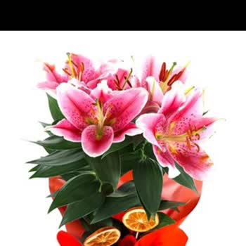 Taze Çiçek'ten Çürük Aranjman Ve Cevapsız Müşteri Hizmeti