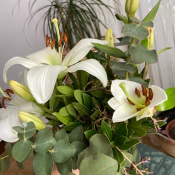 Sarı Yaldızlı Cam Vazoda Çiçekler Solmuş Ve Eksik