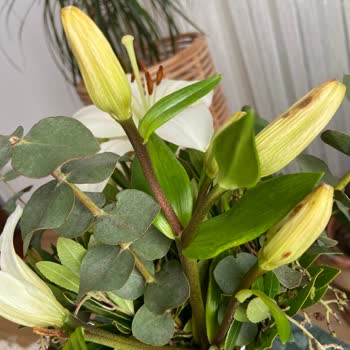 Sarı Yaldızlı Cam Vazoda Çiçekler Solmuş Ve Eksik