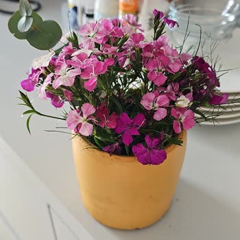 445307471 Numaralı Siparişte Görselleriyle Uyuşmayan Ve Taze Olmayan Çiçek Teslimatı