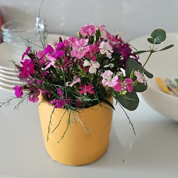 445307471 Numaralı Siparişte Görselleriyle Uyuşmayan Ve Taze Olmayan Çiçek Teslimatı