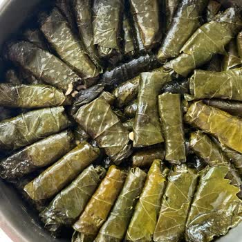 Ayıplı Üzüm Yaprağı Ve Cevapsız Müşteri Hizmeti