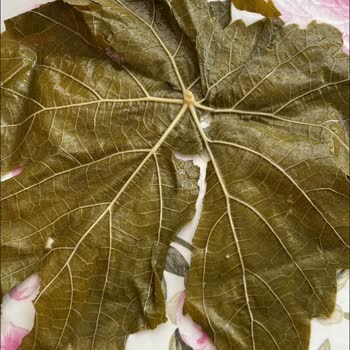 Ayıplı Üzüm Yaprağı Ve Cevapsız Müşteri Hizmeti