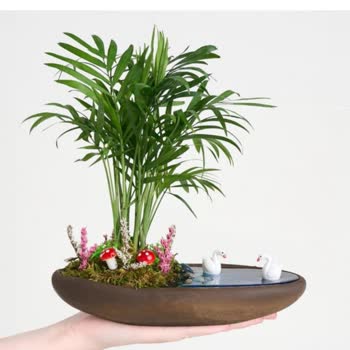 Çiçek Sepeti'nden Gelen Çiçeğin Süsleri Eksik Ve Görsel Onayla Uyuşmuyor