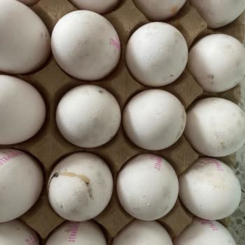 Bili Bili Marka Yumurtalarda Çürüme Ve Küf Sorunu