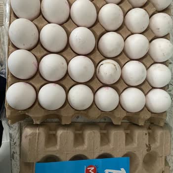 Bili Bili Marka Yumurtalarda Çürüme Ve Küf Sorunu