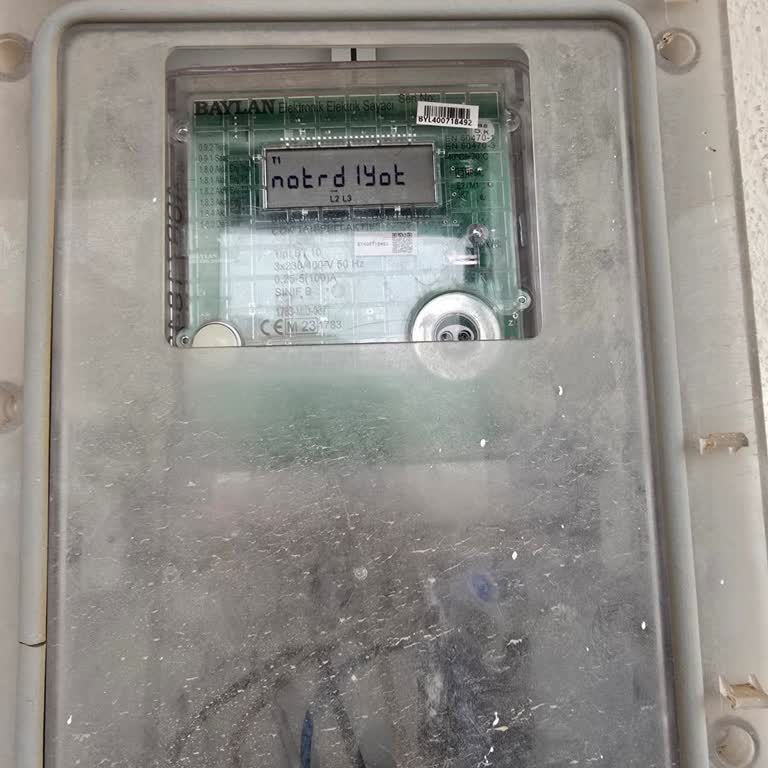 Elektriksiz Evde Gıdalar Bozuldu, Müşteri Hizmetleri Cevapsız