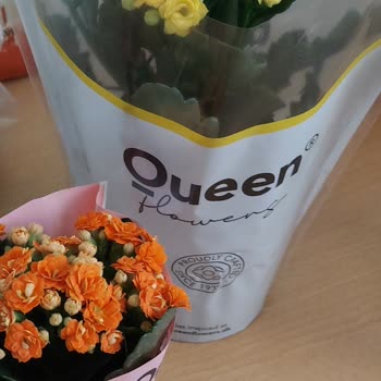 Teslim Edilen Papatya Buketi Solmuş Ve Kahverengileşmiş