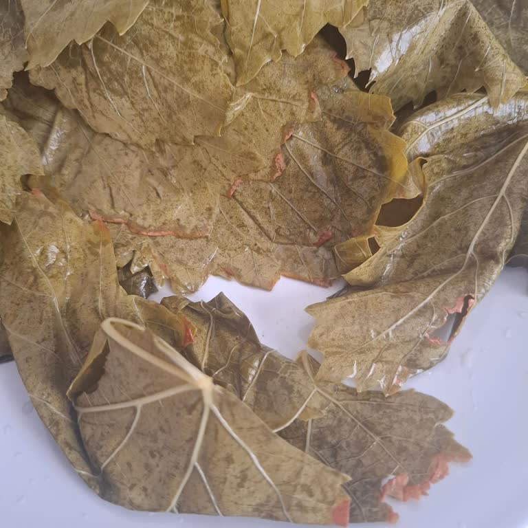 Ayıplı Üzüm Yaprağı Ve Satıcıdan Cevapsızlık