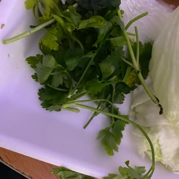 Hazır Çiğköfte Ve Böcekli Yeşilliklerde Hijyen Sorunu