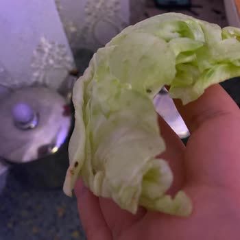 Hazır Çiğköfte Ve Böcekli Yeşilliklerde Hijyen Sorunu