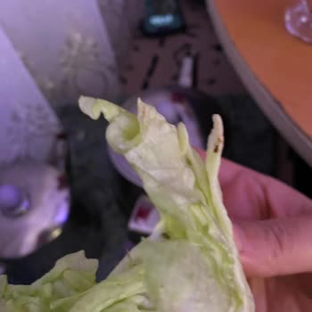 Hazır Çiğköfte Ve Böcekli Yeşilliklerde Hijyen Sorunu