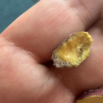 Açılış Günündeki Bayat Ve Küflü Fıstık Satışı