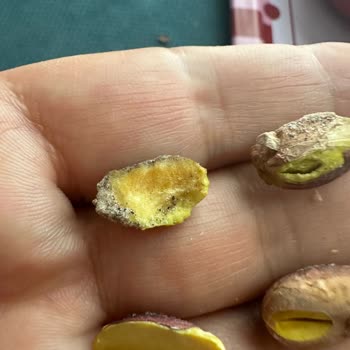 Açılış Günündeki Bayat Ve Küflü Fıstık Satışı