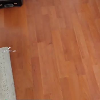 Philips Robot Süpürge Aşırı Ses Çıkarıyor!