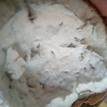 Şok Market’te Küflü Hindistan Cevizi Satışı