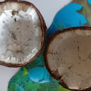 Şok Market’te Küflü Hindistan Cevizi Satışı