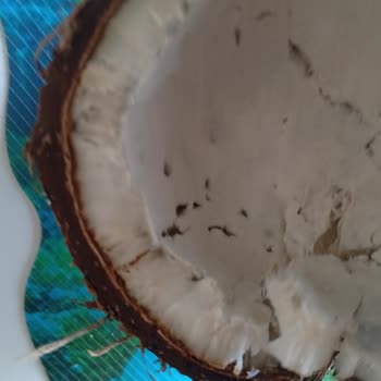 Şok Market’te Küflü Hindistan Cevizi Satışı