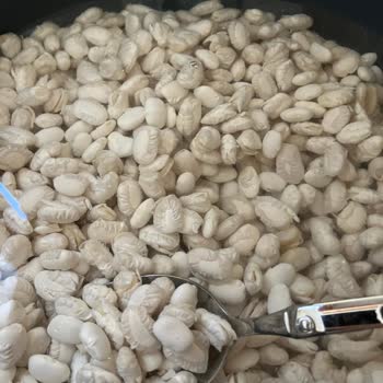 Şekli Bozulan Fasulye İçin Değişim Talebi