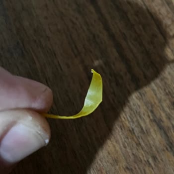 Gnocchi Ürünün İçinden Çıkan Plastik Parça Çocuk Sağlığı İçin Tehlike