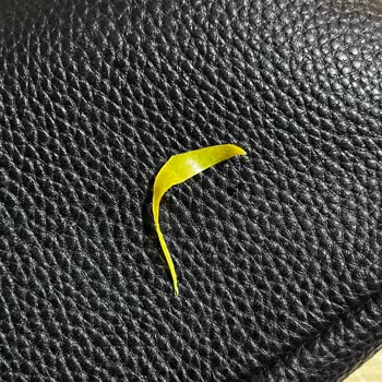 Gnocchi Ürünün İçinden Çıkan Plastik Parça Çocuk Sağlığı İçin Tehlike