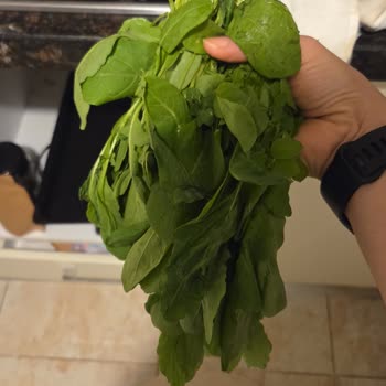 Getir'de Çürük Ürün Ve İade Sorunu