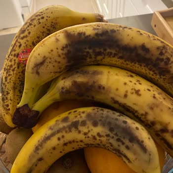 Migros’ta Tekrarlanan Eksik Ve Çürük Ürünler Güvenimizi Zedeledi