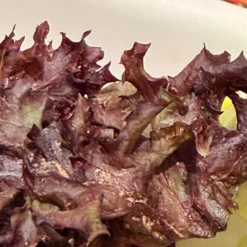 Tavuk Dünyası'nda Çamurlu Marul Hijyen İhlali Ve İade Talebi