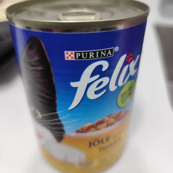 Tarihi Geçmiş Purina Konserve Mamadan Kedimde Halsizlik Ve İshal