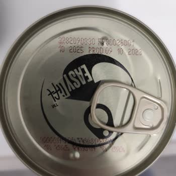 Tarihi Geçmiş Purina Konserve Mamadan Kedimde Halsizlik Ve İshal