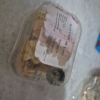 Migros Sanal Market’te Çürük Altın Çilek Teslimatı Tekrarlanan Sorun