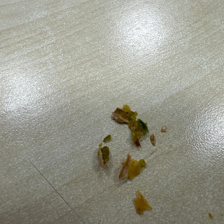 Midye Baklavasında Fıstık Kabuğu Çıktı Sağlık Riski Ve Hijyen İhlali