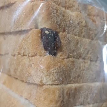 İzmir Karabağlar Reis Şubesinden Tost Ekmeğinde Yabancı Cisim Bulundu