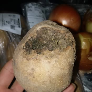 Migros Sanal Market'ten Çürük Patates Ve Soğan Gönderimi