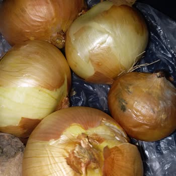 Migros Sanal Market'ten Çürük Patates Ve Soğan Gönderimi